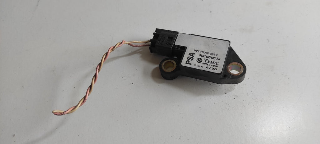 Peugeot 607 3.0i V6 2000 Safety Sensor Control Module Unit ECU 9651465480
