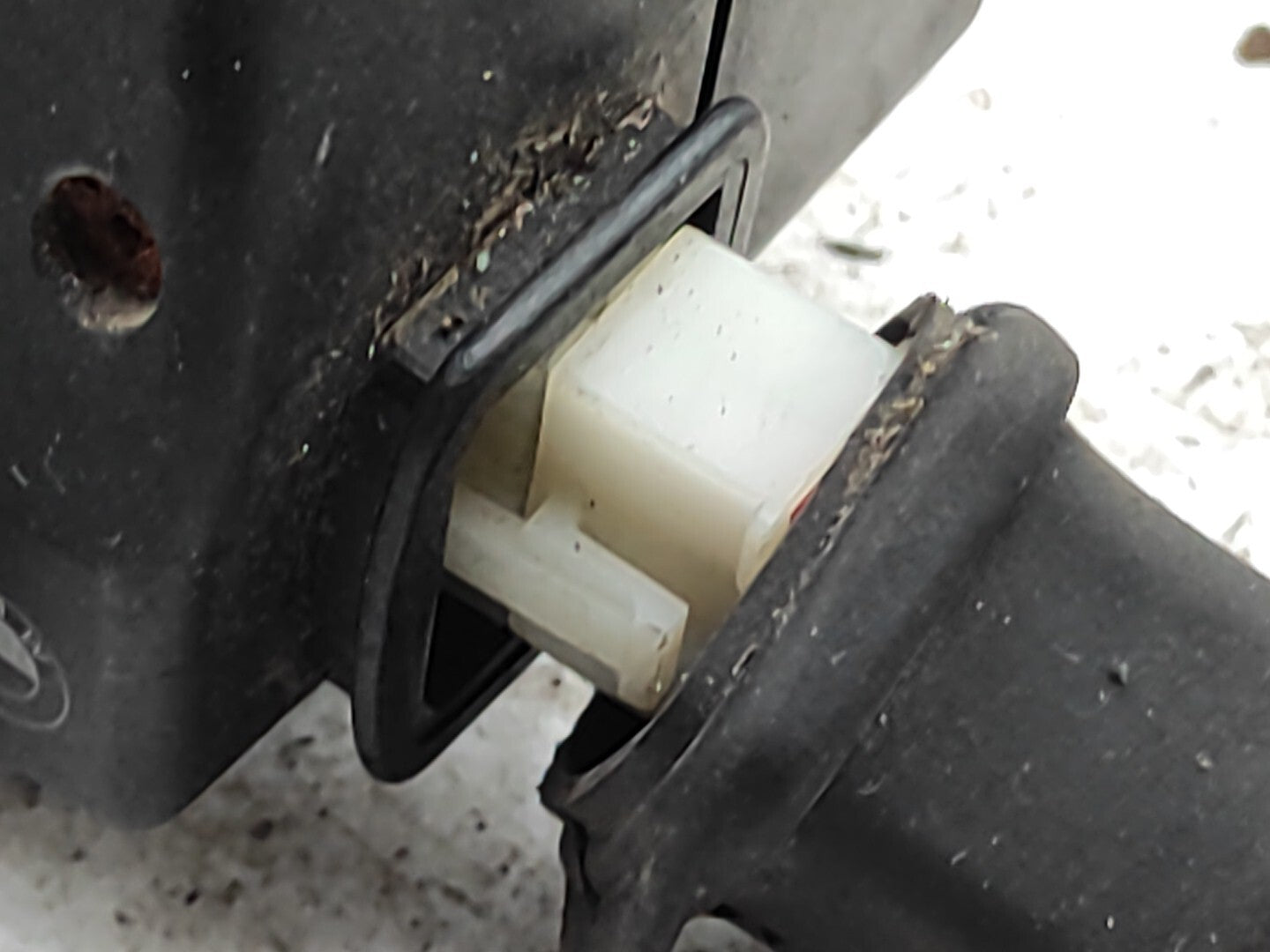 BMW 5 SERIES E39 530D 142kW Estate 2001 Front Alarm Horn Siren 812080224