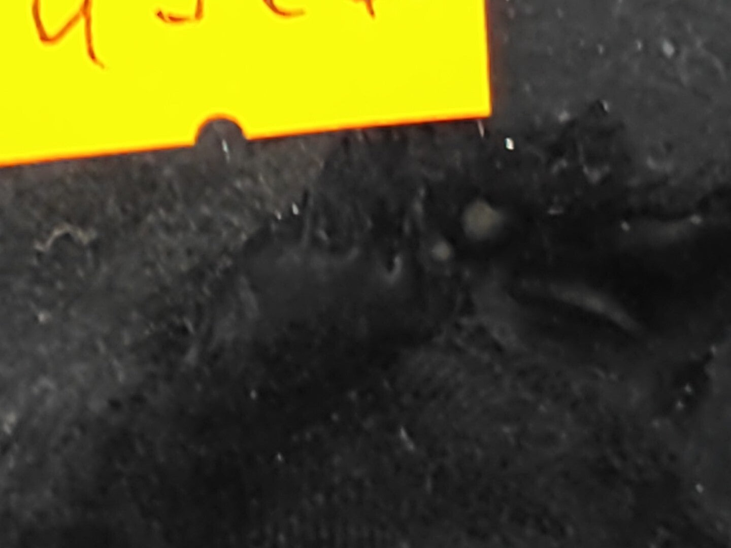 Alfa Romeo 147 1.6TS 2002 Petrol Engine Active Carbon Filter 46556051