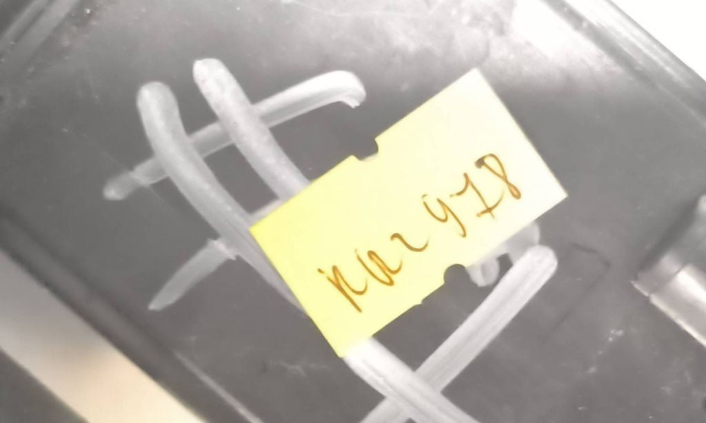 BMW 3 GT F34 2016 Diesel Positive wiring loom 935615801 